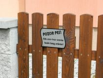 Pozor pes II - Bezpečnostní cedulka